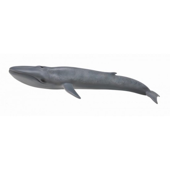 Figurina Balena Albastra - Collecta