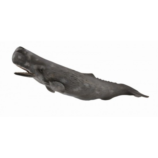 Figurina Balena Casalot - Collecta
