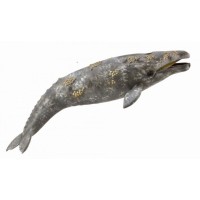 Figurina Balena Gri - Collecta