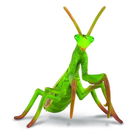 Figurina insecta Calugarita - Collecta