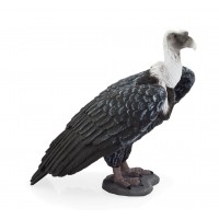 Figurina Vultur grifon Mojo