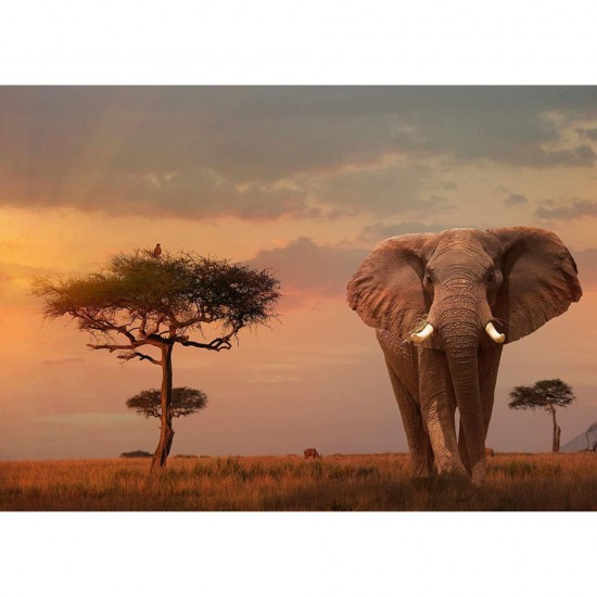 Puzzle elefant in Masai Mara 1000 piese