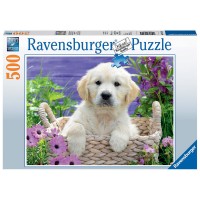 Puzzle catelus Golden Retriever 500 piese