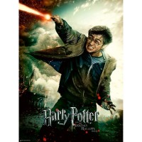 Puzzle Harry Potter 100 piese