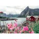 Puzzle Lofoten Norvegia 1000 piese