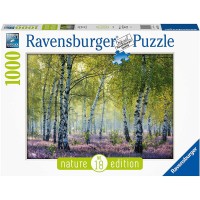 Puzzle padurea de mesteacan 1000 piese