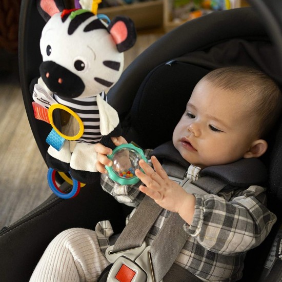 Jucarie din plus Zebra zambareata Baby Einstein