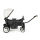 Carucior de transport tip vagon BabyGo Cozy Rider