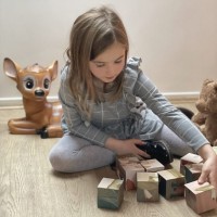Set 9 cuburi animale din padure Egmont Toys