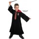 Accesorii Harry Potter - Bagheta, cravata si ochelari