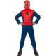 Costum de carnaval standard - Spiderman