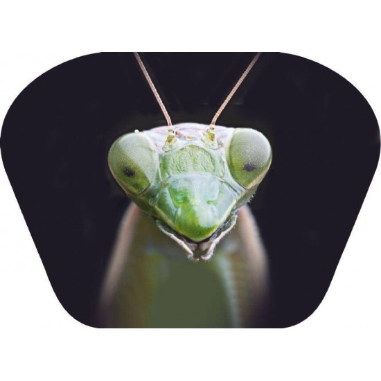Proiector tip lanterna - Insecte