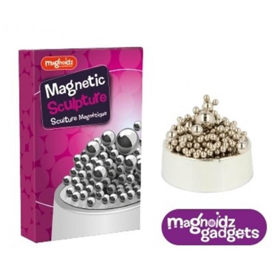 Set creativ - Sculptura magnetica