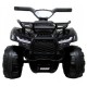 ATV electric pentru copii 2-4 ani J8AAA R-Sport - Negru