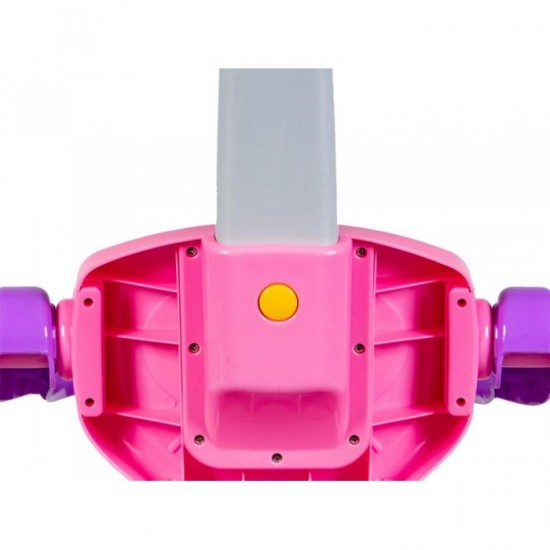 Masinuta de impins 3 in 1 Ecotoys 382 - Roz