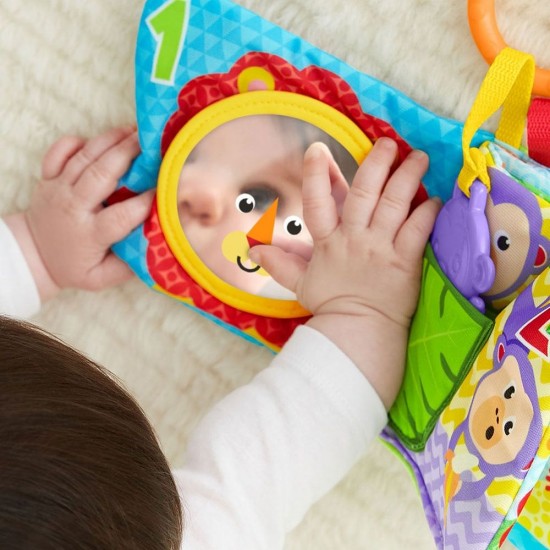 Jucarie Fisher Price Newborn Carticica cu numere si activitati