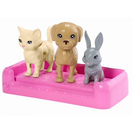 Set de joaca Barbie Family papusa cu animalute