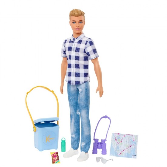 Papusa Barbie Ken la picnic