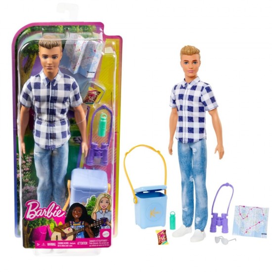 Papusa Barbie Ken la picnic