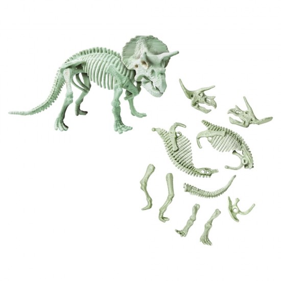 Set educativ - Descopera dinozaurul Triceratops