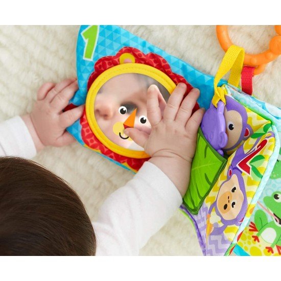 Carticica cu numere si activitati Fisher-Price 