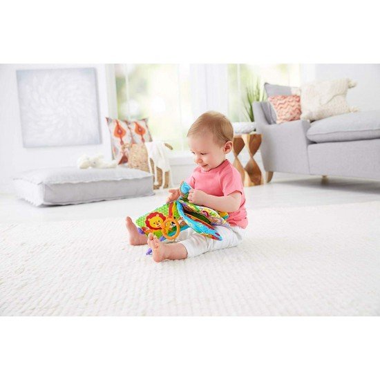 Carticica cu numere si activitati Fisher-Price 