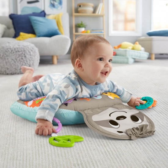 Perna de joaca Lenes Fisher-Price 