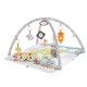 Saltea cu activitati si accesorii Newborn Perfect Sense Deluxe Gym Fisher-Price