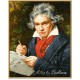 Kit pictura pe numere Schipper - Ludwig van Beethoven