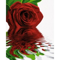 Kit pictura pe numere Schipper - Trandafirul rosu