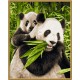 Kit pictura pe numere Schipper - Ursuletii Panda