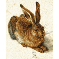 Kit pictura pe numere Schipper - Young Hare de Albrecht Durer