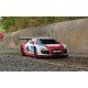 Masina cu telecomanda Audi R8 LMS performance scara 1:18