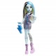 Papusa Monster High Frankie Stein