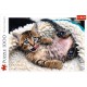 Puzzle Trefl 1000 piese - Pisicuta vesela