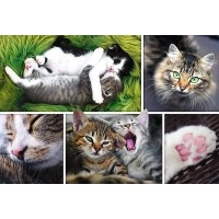 Puzzle Trefl 1500 piese - Viata pisicilor