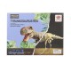 Set educativ paleontologie descopera fosile dinozaur Tyrannosaurus Rex