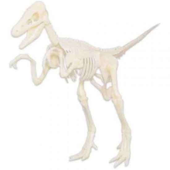 Set educativ paleontologie descopera fosile dinozaur Velociraptor