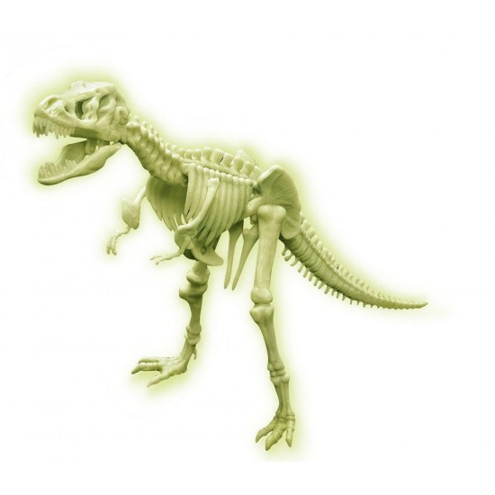 Set constructie Fosila T-Rex fosforescenta 11 piese