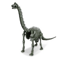 Set educativ Sapa si descopera Dinozauri - Brachiosaurus