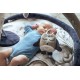 Salteluta cu arcada interactiva pentru copii si bebelusi, activitati cu jucarii senzoriale Wolf Moonlight