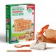 Set arheologic educational si puzzle 3D Arkerobox Roma antica - Colosseum