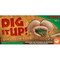 Joc educativ Dig It Up! Dinosaur Eggs, Oua de dinozauri