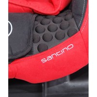 Scaun auto Coletto Santino Grey - Grupa 9-25 kg