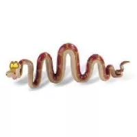 Figurina - Kaa