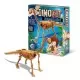 Paleontologie - Dino Kit - Brachiosaurus Paleontologie - Dino Kit - Brachiosaurus