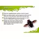 Set de stiinta - Learning Resources Set de stiinta - Learning Resources