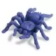 Sa numaram - Insecte de gradina pentru numarat Sa numaram - Insecte de gradina pentru numarat