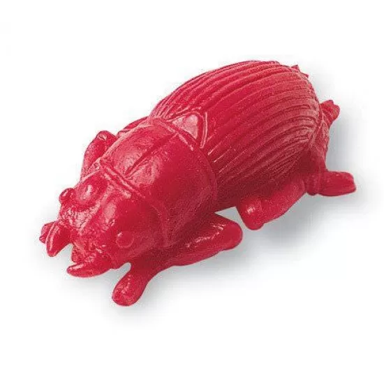 Sa numaram - Insecte de gradina pentru numarat Sa numaram - Insecte de gradina pentru numarat