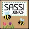 Sassi
